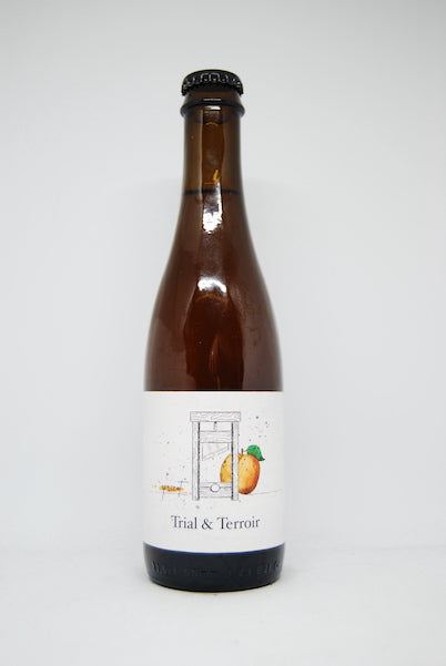 Hop Hooligans Trial & Terroir Apricot (2019) Wild Ale