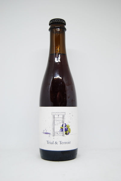 Hop Hooligans Trial & Terroir Blueberry (2019) Wild Ale