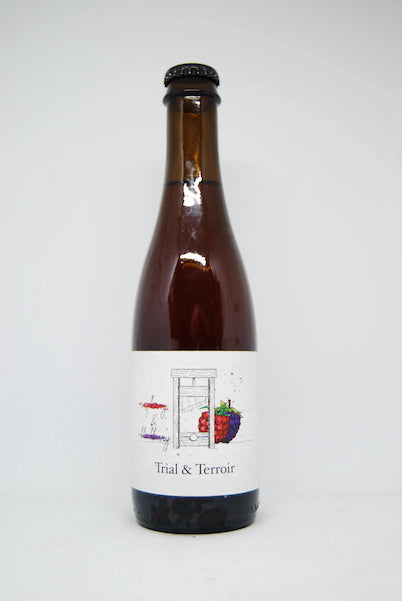 Hop Hooligans Trial & Terroir Raspberry & Blackberry (2020) Wild Ale